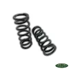 Aldan Shock Springs